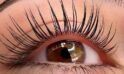 top lash lift kits