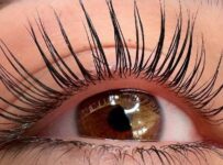 top lash lift kits